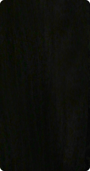 1B