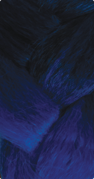 BT1B/Blue