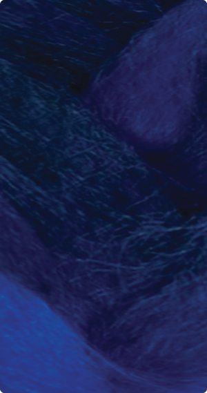BT1B/Royal Blue