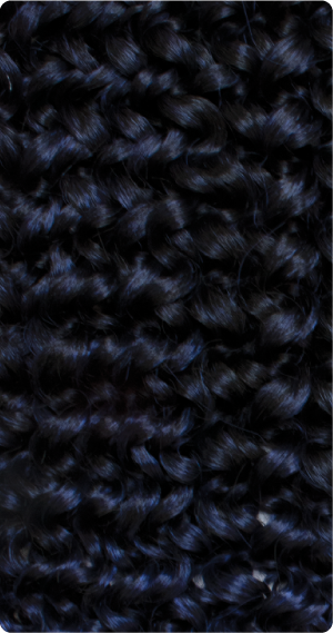T1B/D.Blue