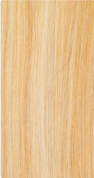 F27/613