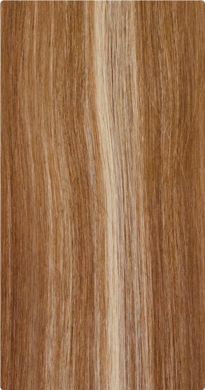 F6/613