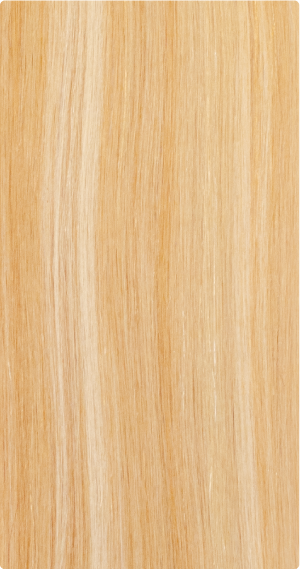 F27/16613