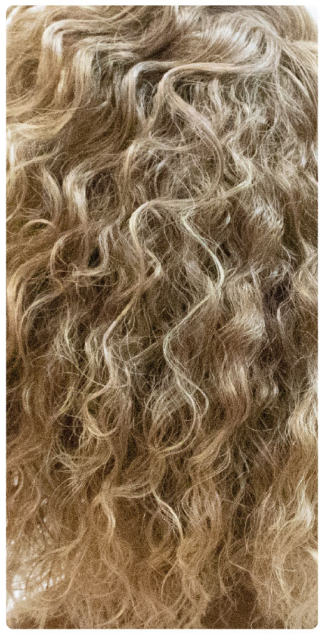 T6/G.Blonde