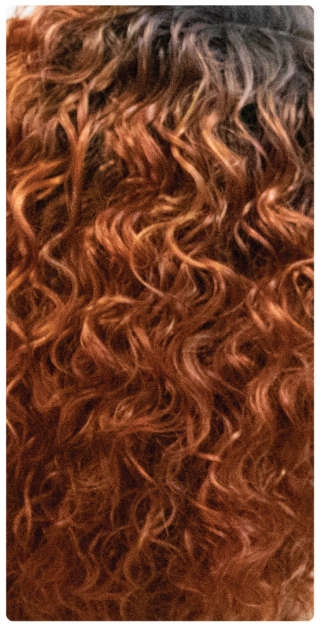 TT1B/Ginger