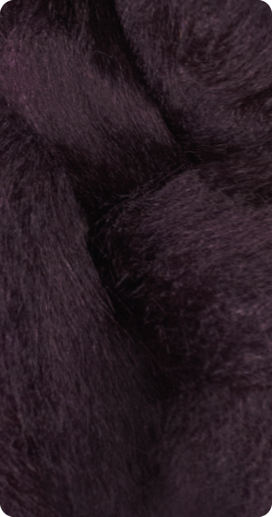 BT1B/D.Purple