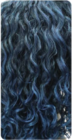 T1B/F.Blue