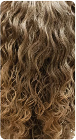 T6/G.Blonde