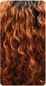 TT1B/Ginger