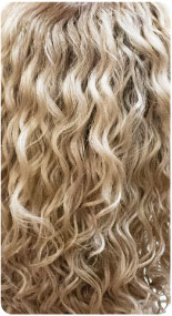 TT8/C.Blonde