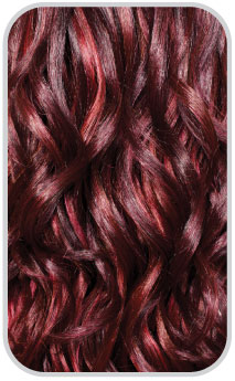 SL/Burgundy