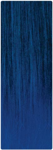 T1B/Blue