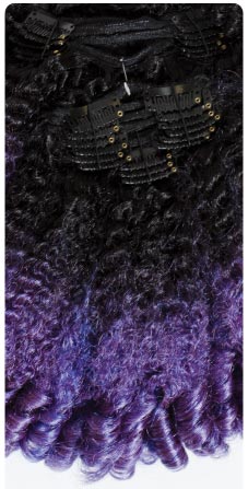 GT1B/Purple