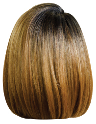 GTF1B/Brown