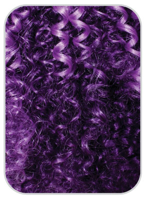 3T/Viola