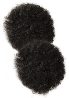 1B