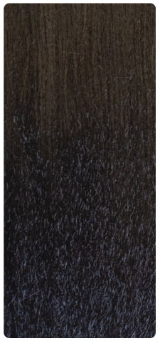 1B