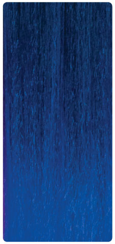 T1B/Blue