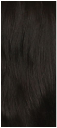 1B
