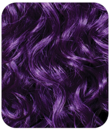 GTOM/Purple