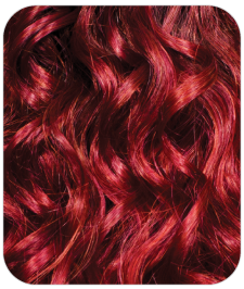 GTOM/Red.Wine