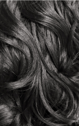 1B