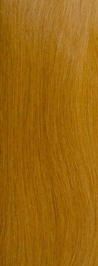 H.Blonde