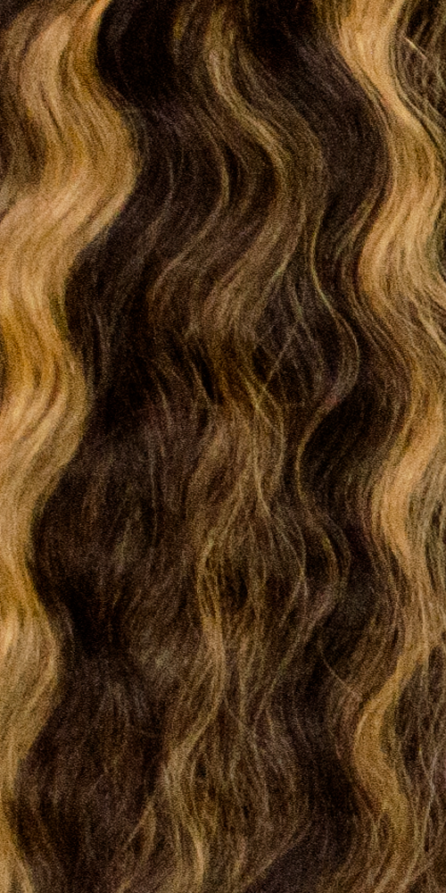 F2/27