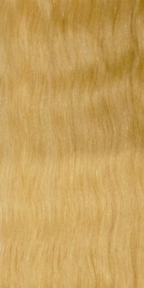 613