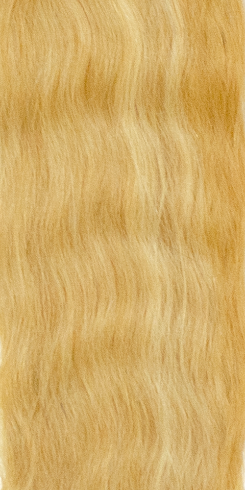 F16/613