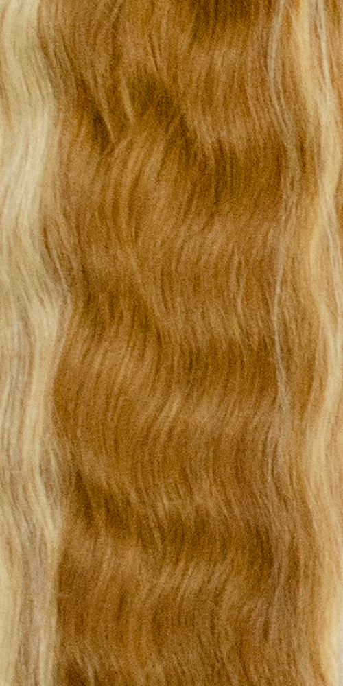 F12/613