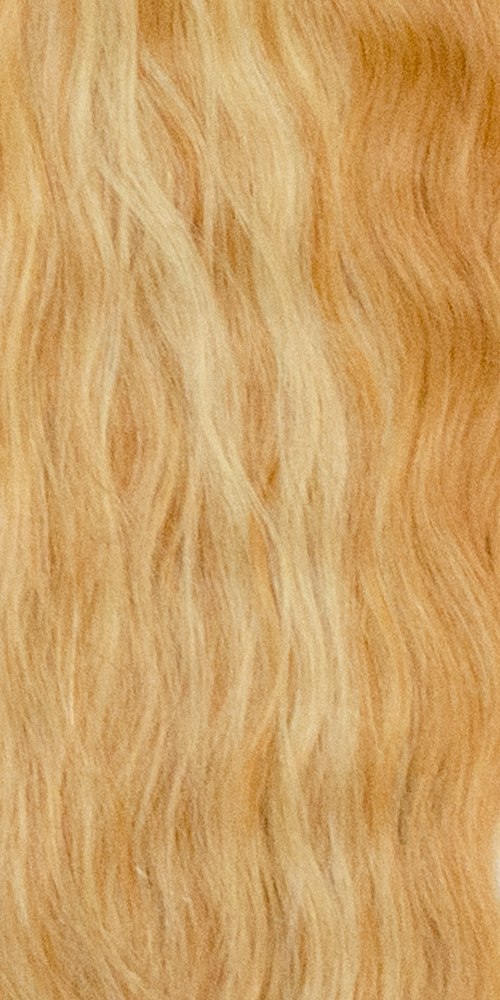 F27/613
