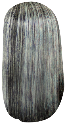 HL1B/Gray
