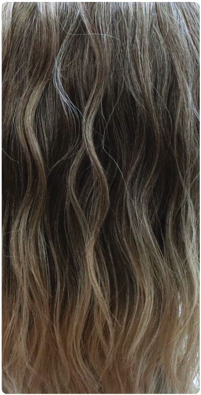 T6/G.Blonde